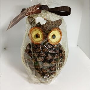 NWT pinecone owl candle